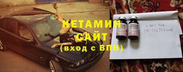 стаф Аркадак
