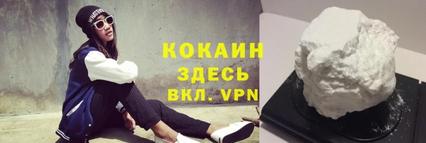 стаф Аркадак