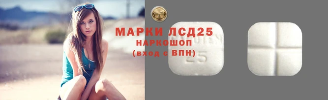 стаф Аркадак