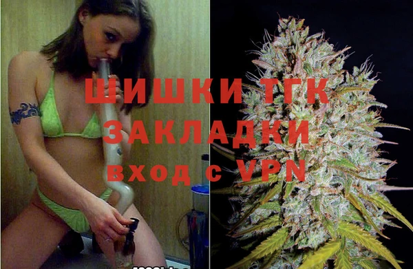 стаф Аркадак